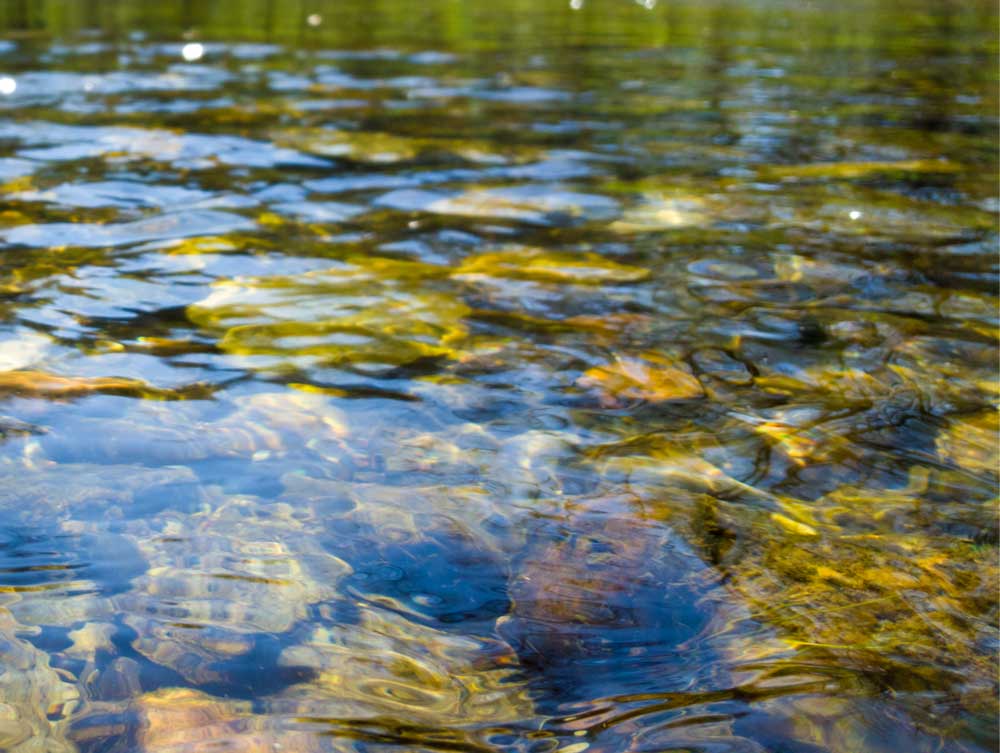 Close up of lake water, rocks visible under water