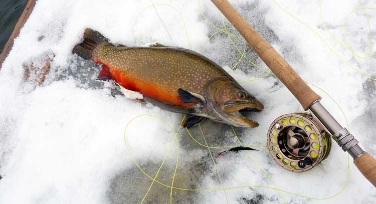 Caught fish, road and reel on ice lake