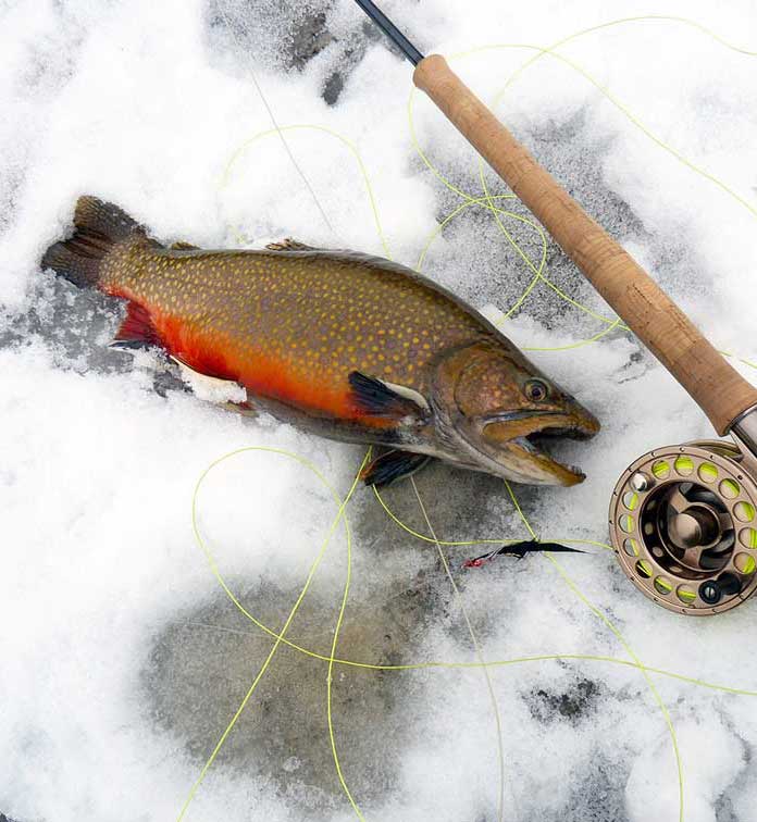 Caught fish, road and reel on ice lake