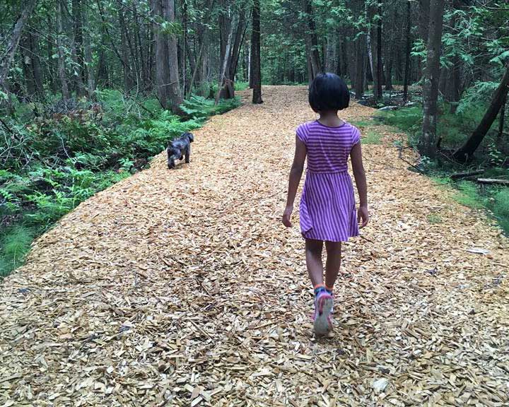 Young girl hiking through forest with dog