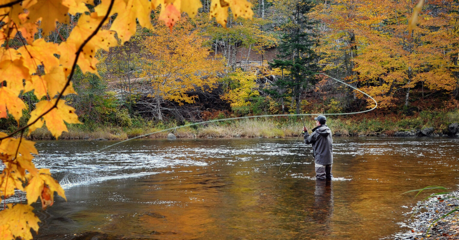 Fly Fishing in Toronto: Rods, Tackle, and More