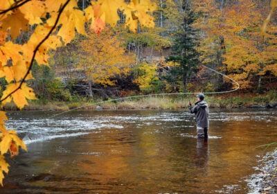 Fly Fishing in Toronto: Rods, Tackle, and More