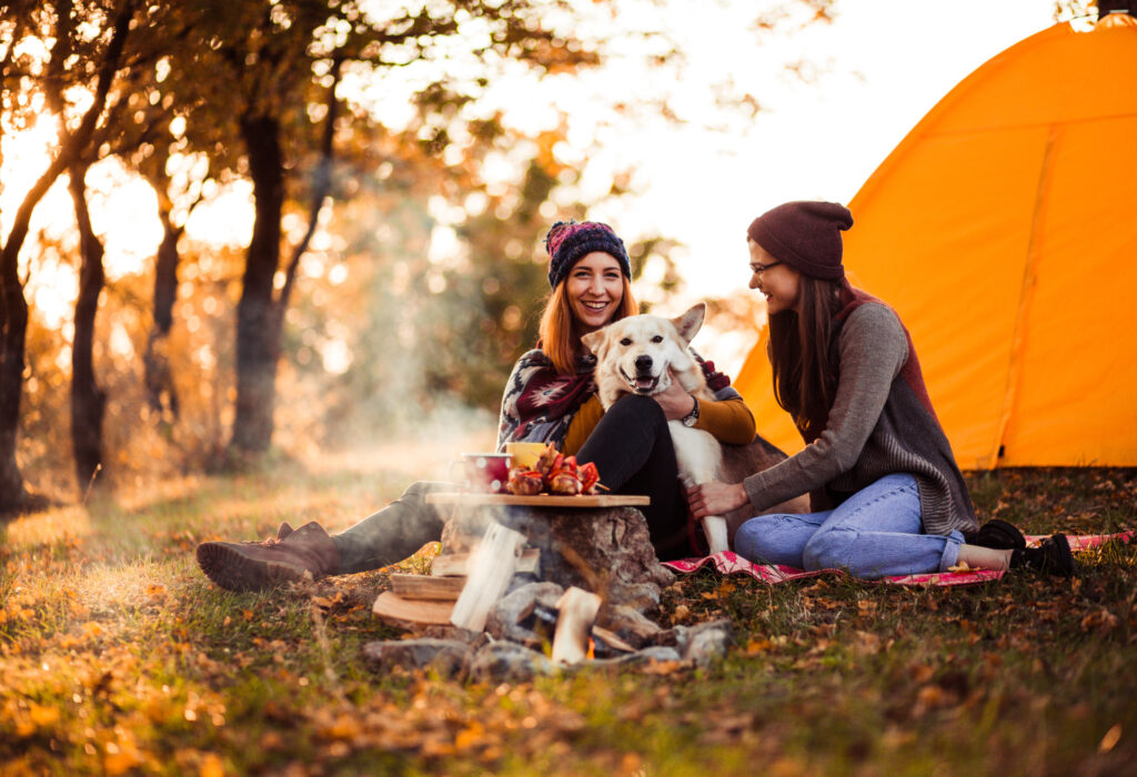 How to Best Prepare for Camping in Ontario