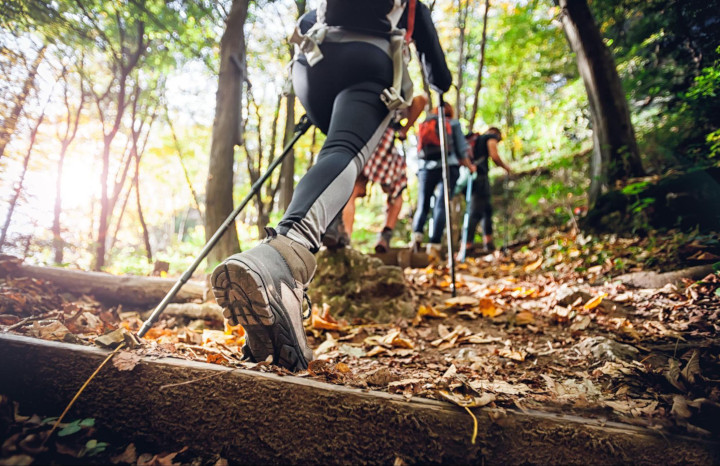 View from behind of a group of hikers as one uses hiking poles for support as they walk through a forest.