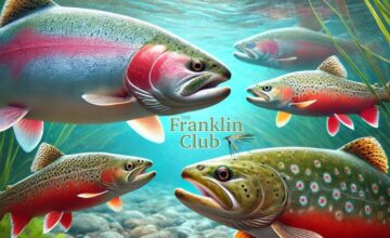 Meet the Fish at The Franklin Club