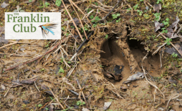 Wildlife Sightings at The Franklin Club