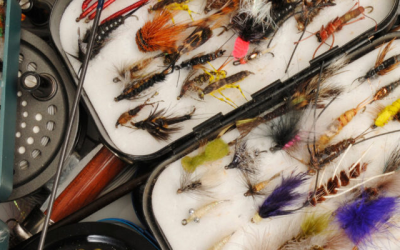 10 Trout Flies for Fly Fishing in Ontario: Tying Tips & Tutorials