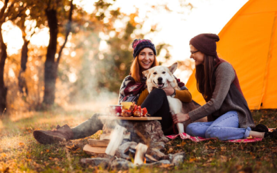 How to Best Prepare for Camping in Ontario