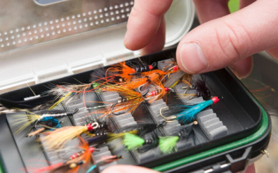 How to Choose the Right Fly Fishing Hook Size