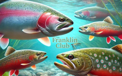 Meet the Fish at The Franklin Club