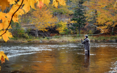 Fly Fishing in Toronto: Rods, Tackle, and More