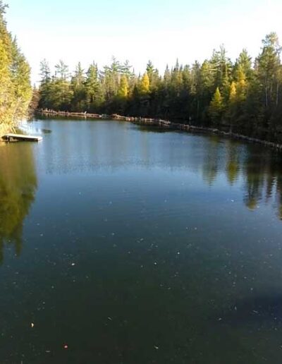 A wide landscape view of a tranquil, narrow lake reflecting a dense green pine forest and a brilliant blue sky on a bright, sunny day.