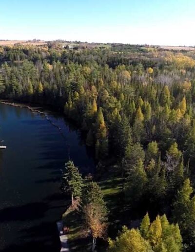 A stunning high-altitude aerial panoramic photo of a winding river cutting through a vast, dense forest rich with golden autumn foliage under a clear sky.