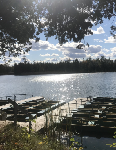 A wide view of the boat docks and serene lake with opposite forest shoreline, framed subtly by silhouetted tree branches at the top of the frame.