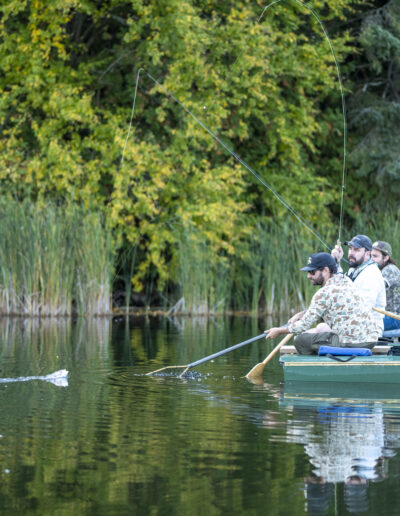 An angler mid-cast with his fly line looping through the air, fishing from a green rowboat positioned close to tall lake reeds.