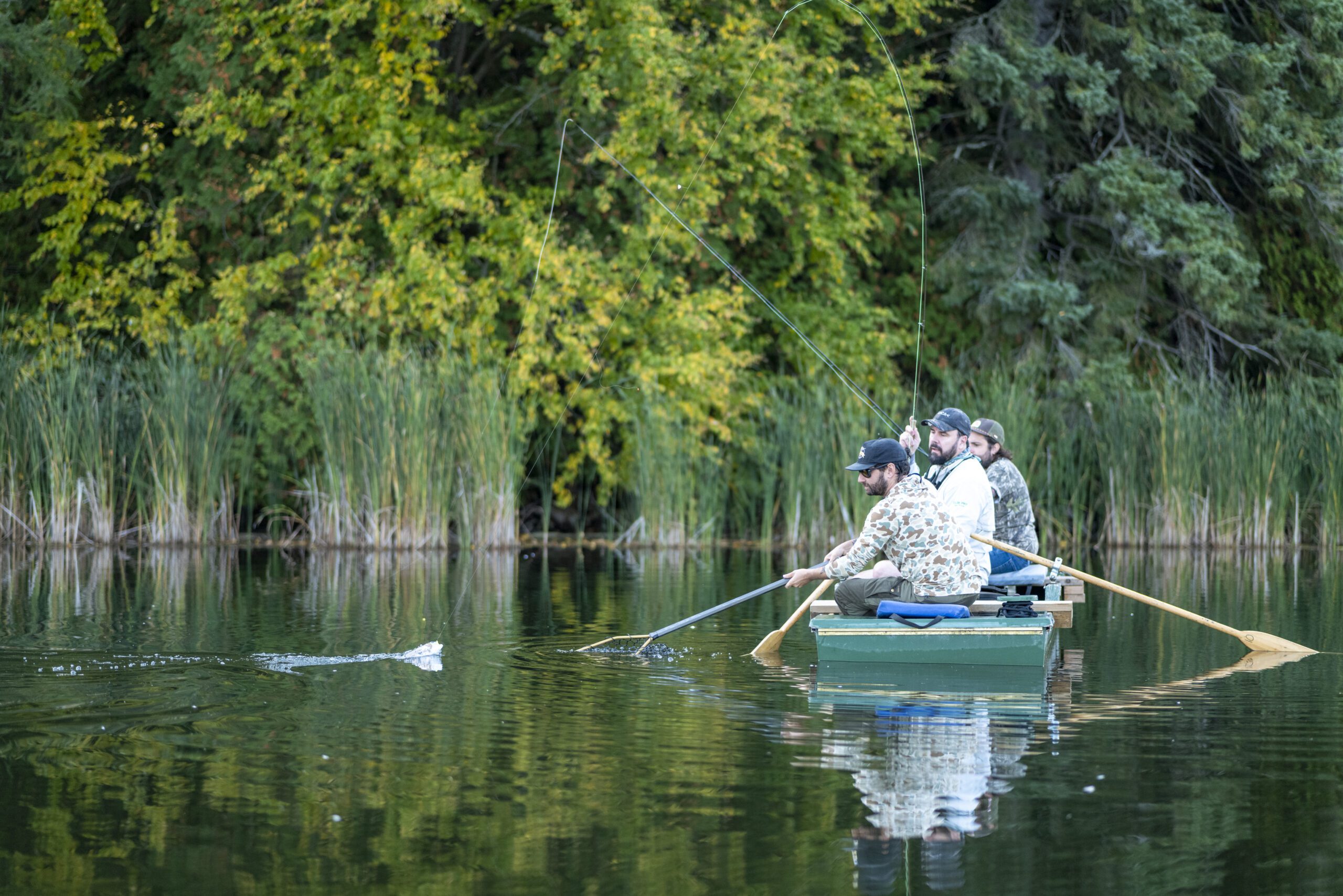 Franklin-Club-Punt-Fly-Fishing-Cast An elegant shot of a fly fisherman reeling a fish in near a green, grassy shoreline.