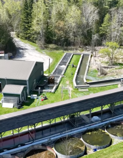 An overhead drone shot of the grey fish hatchery facility building and outdoor water raceways.